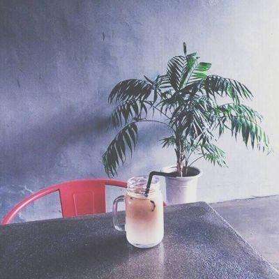 战国无双传游戏下载
